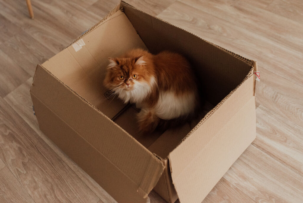 cats unsuitable for self storage